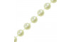 Fio de Pérola, 10mm, Creme